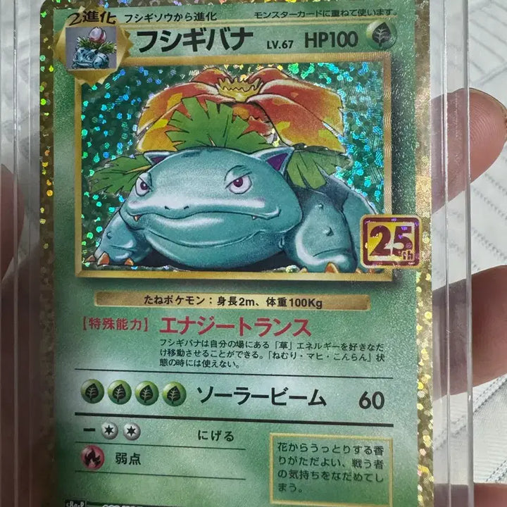 [BUNJANG] Pokemon Card Japanese 25th Anniversary Venusaur Single Card / 포켓몬카드 일판 25주년 이상해꽃 싱글카드 판매합니다