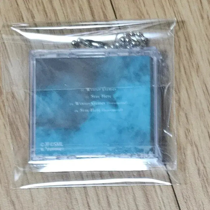 [BUNJANG] 2PM Tokyo Dome Mini CD Keyring Bandai Gacha / 2PM 도쿄돔 미니 CD키링 반다이 가챠