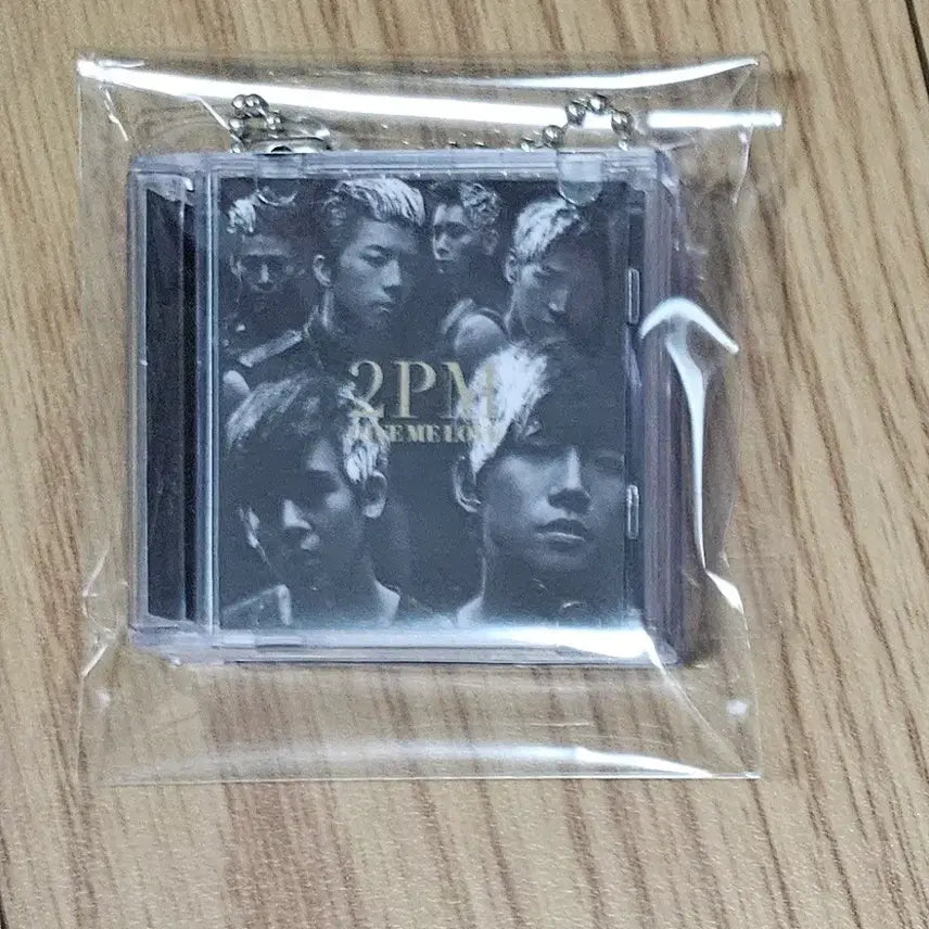 [BUNJANG] 2PM Tokyo Dome Mini CD Keyring (Bandai Gacha) / 2PM 도쿄돔 미니 CD키링 반다이 가챠