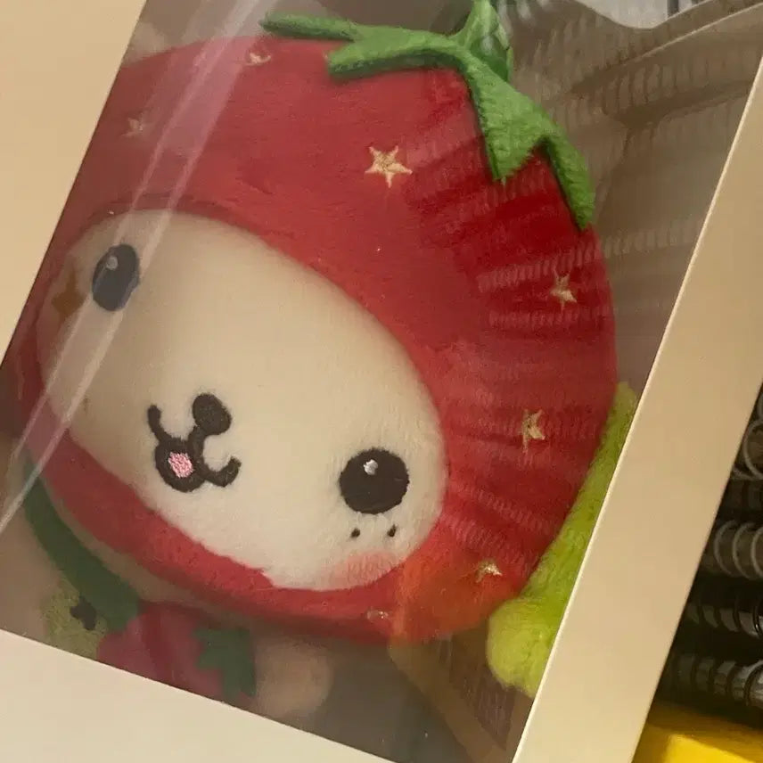 [BUNJANG] NCT WISH Wish Berry Strawberry Wish Doll Ryon Ryon Sealed / 엔시티위시 위시베리 딸기위시돌 룐룐 미개봉 양도