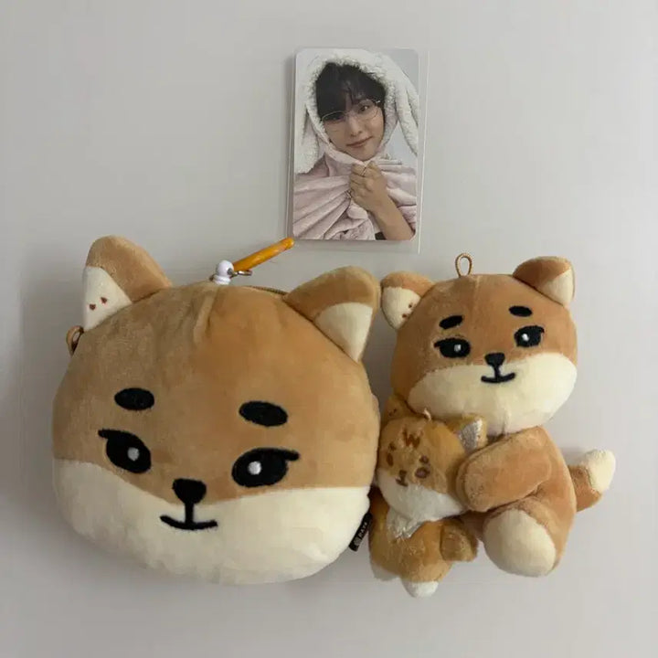 [BUNJANG] Day6 Denimals Na-ah Cat + Lil&