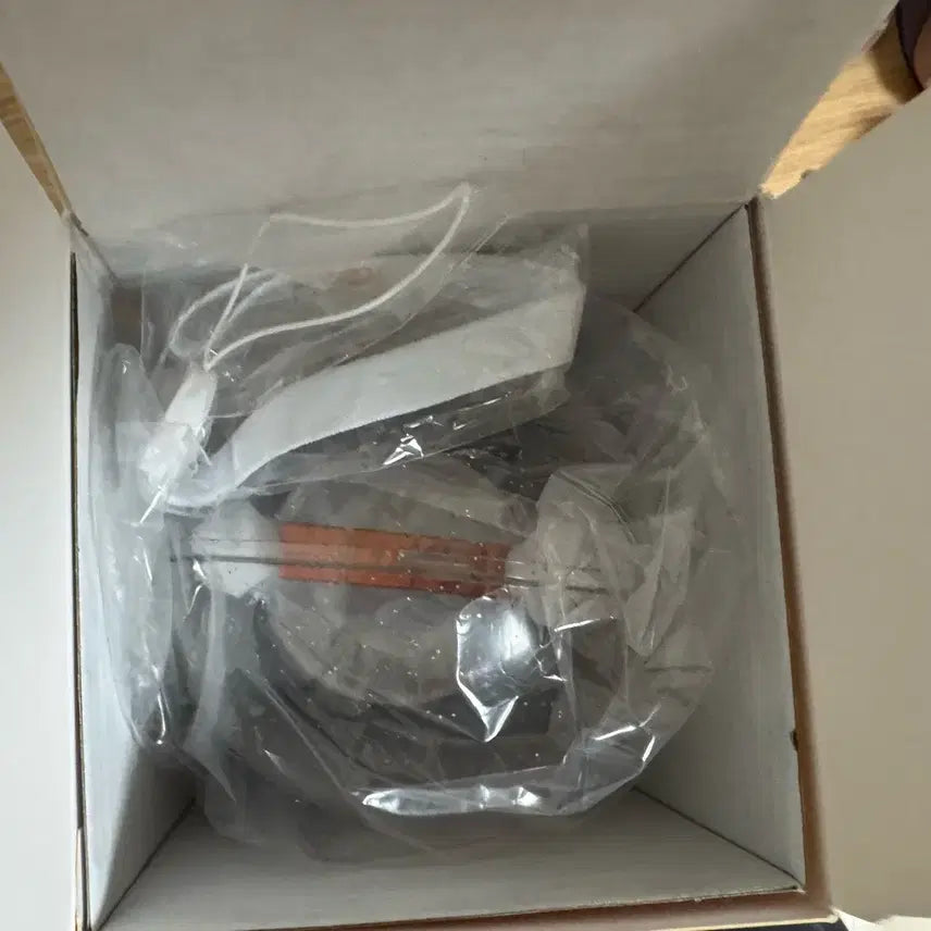 [BUNJANG] RIIZE Official Light Stick / 라이즈 응원봉
