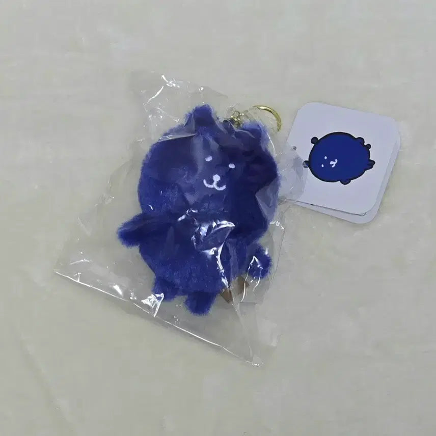 [BUNJANG] Nagano Market Color GOM Royal Blue / 나가노마켓 팝업 컬러 농담곰 로얄블루