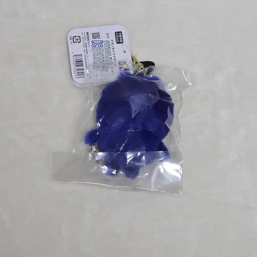 [BUNJANG] Nagano Market Color GOM Royal Blue / 나가노마켓 팝업 컬러 농담곰 로얄블루
