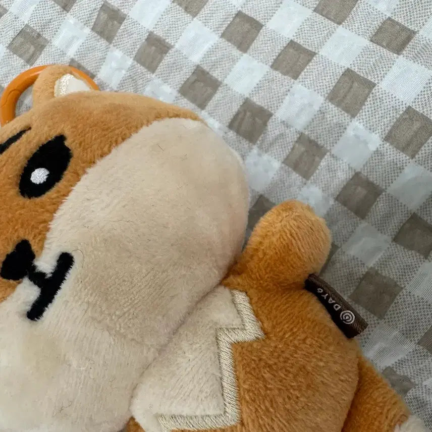 [BUNJANG] Day6 Denimals Young K 20cm Doll (Single Item, Handsome Face) / [새상품]데이식스 데니멀즈 영케이 20케 (박스x)