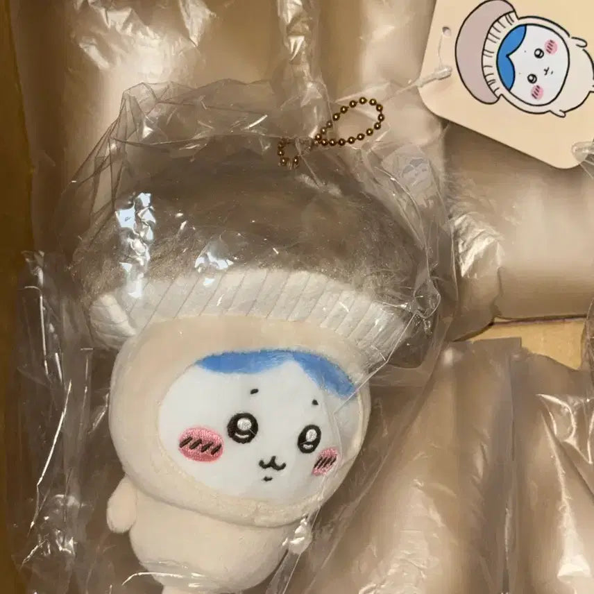 [BUNJANG] Chiikawa Hachware Halloween Mushroom Sealed / 치이카와 할로윈 버섯 하치와레 미개봉