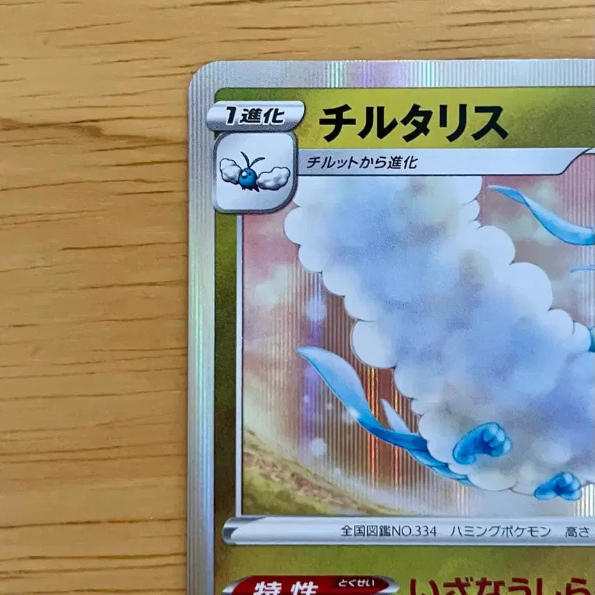 [BUNJANG] Pokemon Card Dragon Get Challenge Pavicorn Promo 209/S-P / 일판 포켓몬카드 드래곤겟챌린지 파비코리 프로모 209/S-P