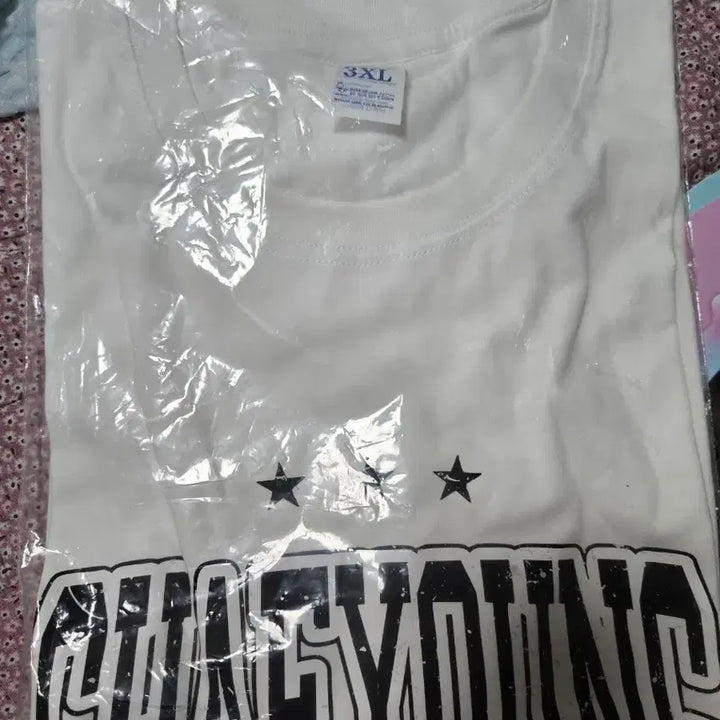 [BUNJANG] fromis_9 Chaeyoung T-Shirt, Fan Cafe Cup, Poster Set / (일괄) 프로미스나인 채영 티셔츠(미개봉),생카페 컵,포스터