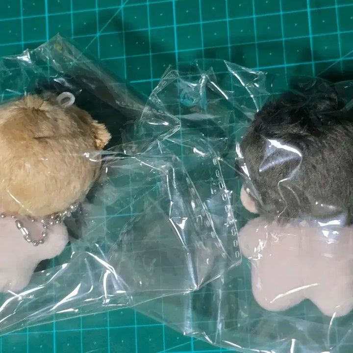 [BUNJANG] Stage Behind 5cm Cotton Doll (Plush) Sealed Bundle Set / 스테이지비하인드 스비하 스테비 5cm솜깅 미개봉