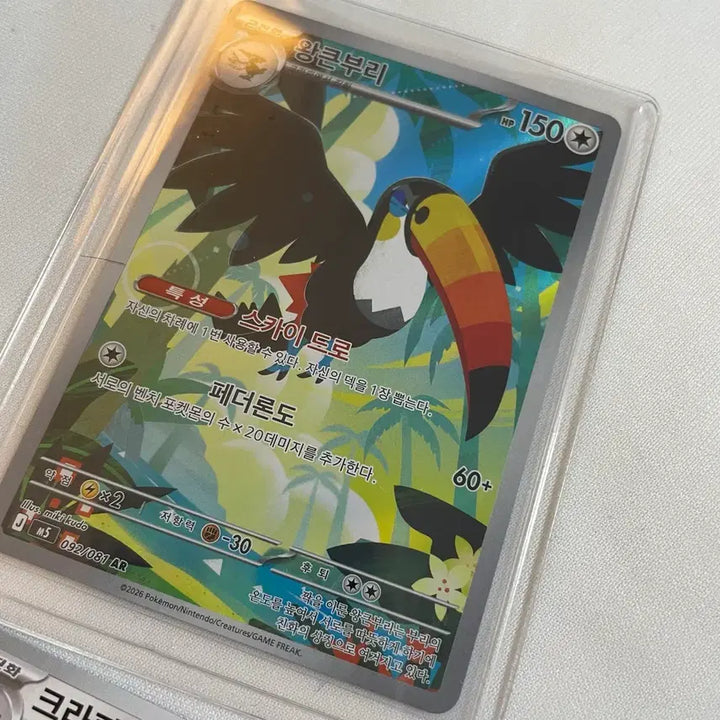[BUNJANG] Pokemon Card Bundle - Kingler, Corviknight, Corvisquire / 일괄)포켓몬카드 왕큰부리rr 콕코구리 크라파 귀여운카드