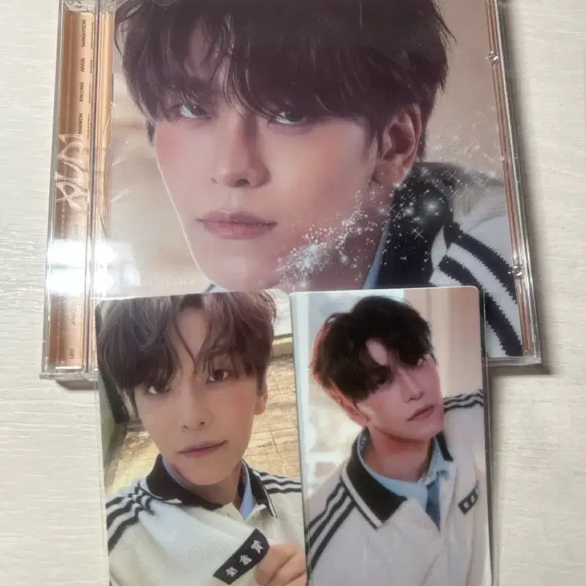 [BUNJANG] Hyeshinlong Photocard Bundle Set / 허씬롱 포카