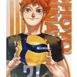 [BUNJANG] Haikyuu!! Hinata Shoyo Original Drawing Clear File / 하이큐 히나타 쇼요 원화 클리어 파일
