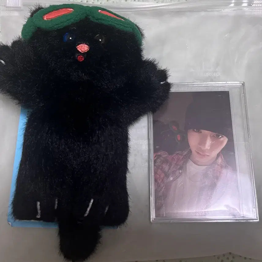 [BUNJANG] BOYNEXTDOOR 1st Gen Fanclub Photocard / 보이넥스트도어 쁘넥도 한탯풍 1기 양도