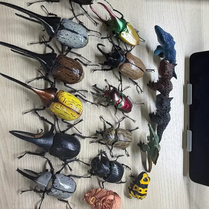 [BUNJANG] Insect Encyclopedia Bundle Set / 생물대도감 일괄