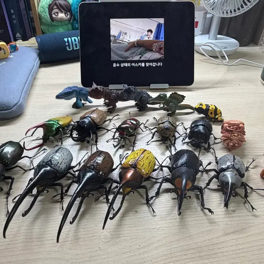[BUNJANG] Insect Encyclopedia Bundle Set / 생물대도감 일괄