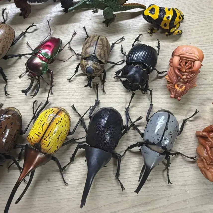 [BUNJANG] Insect Encyclopedia Bundle Set / 생물대도감 일괄