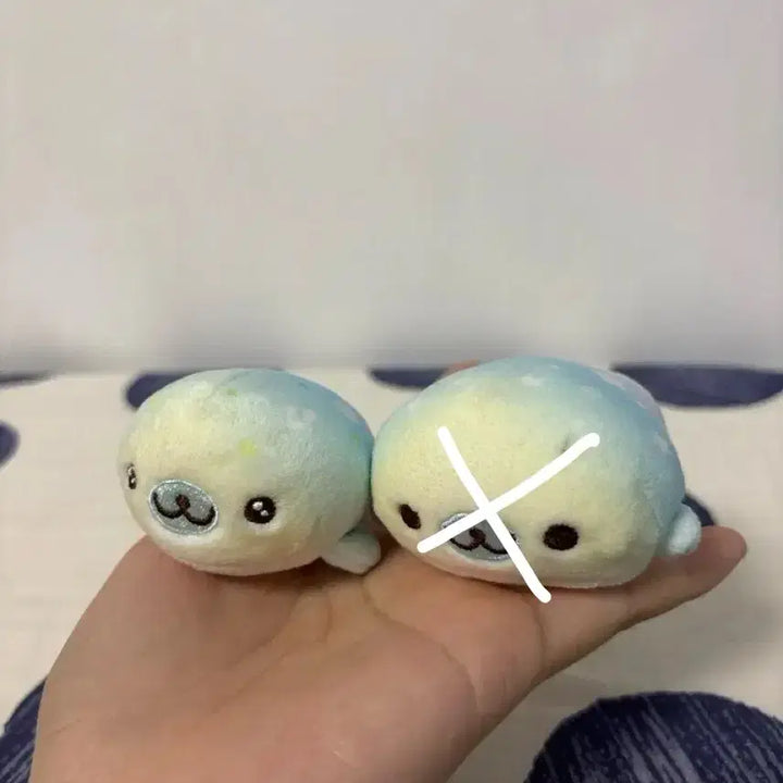 [BUNJANG] San-X Mamegoma Plush / 산엑스 마메고마 인형
