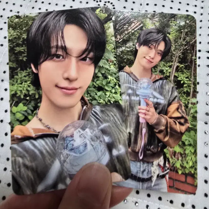 [BUNJANG] SEVENTEEN Dino X DK "CARAT ZONE" Concert Photocard / 2026 디노X피철인 콘서트 캐럿존 포카 양도