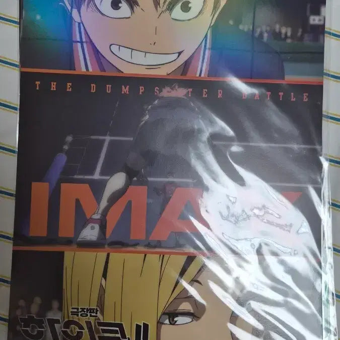 [BUNJANG] Haikyuu!! The Dumpster Battle Movie Posters (Set of 2) / 하이큐 쓰랴기장의 결전 포스터 2장