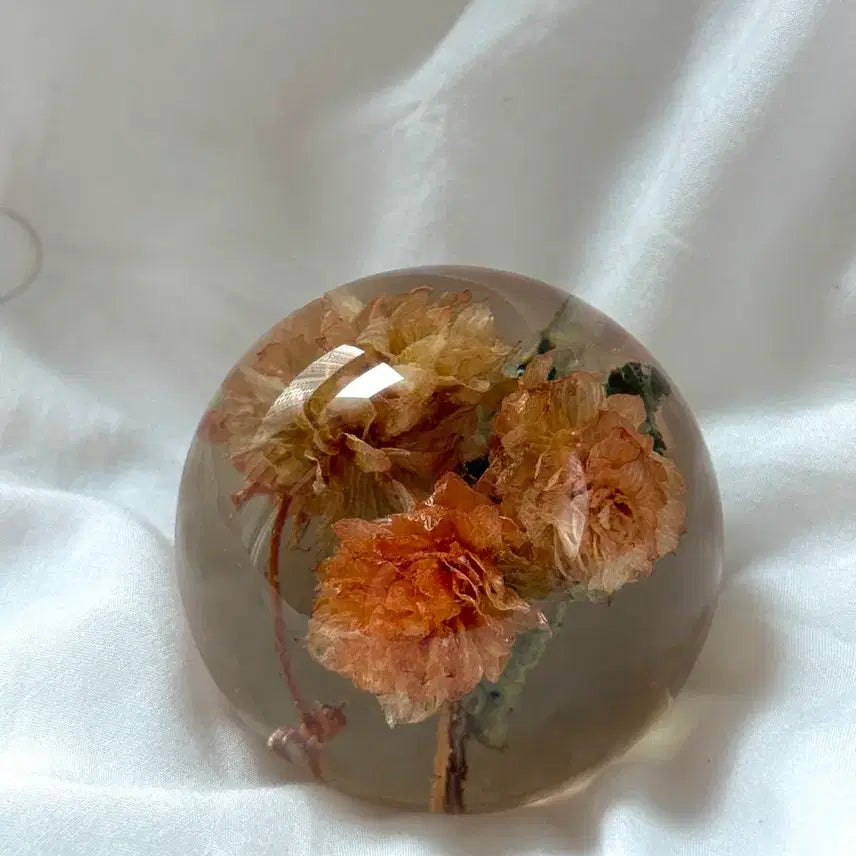 [BUNJANG] HAFORD Resin Pressed Flower Paperweight / 하포드 문진