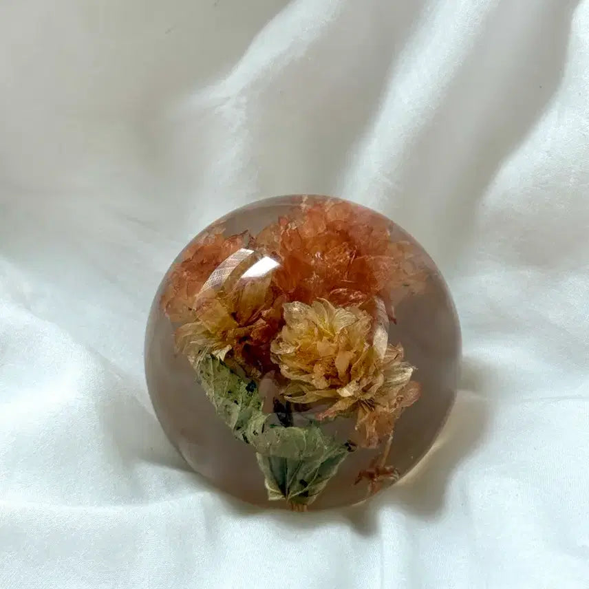 [BUNJANG] HAFORD Resin Pressed Flower Paperweight / 하포드 문진
