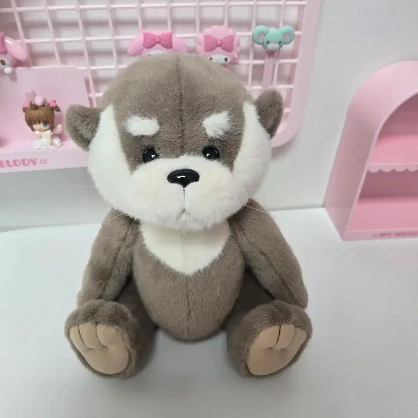 [BUNJANG] Teddy Tales Lena Bear Lena Otter Medium / 일주일 할인) 테디테일즈 레나베어 레나 수달 미디움