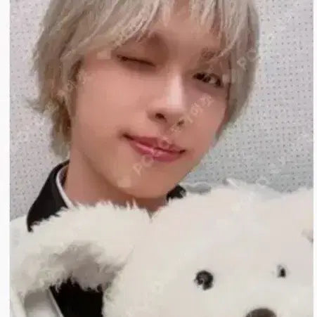 [BUNJANG] XDIZ GAON Deadend Photocard / 엑디즈 가온 데드엔드 엑디즈는 강아지 포카