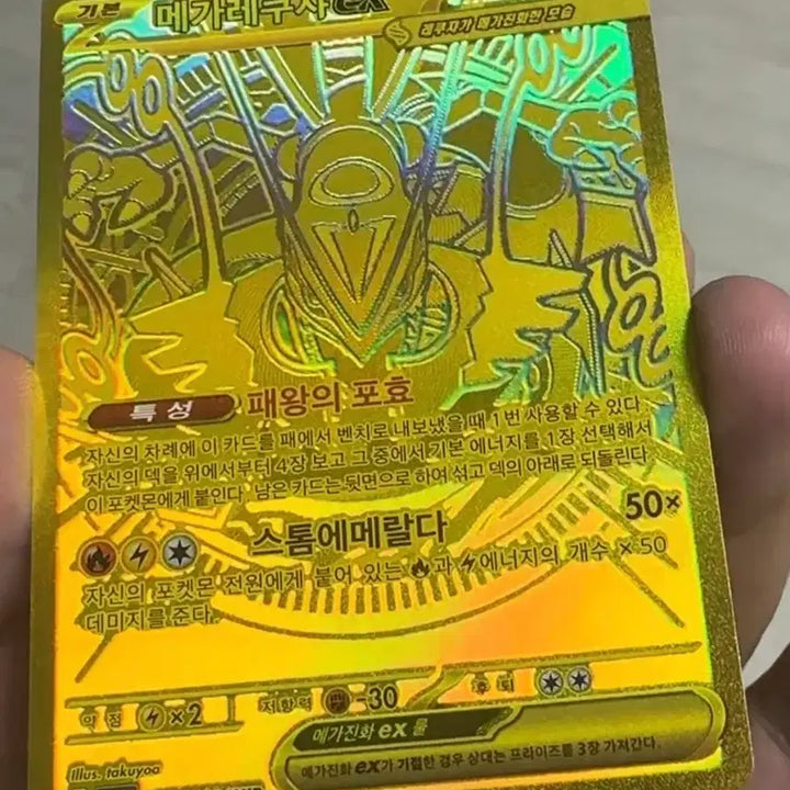 [BUNJANG] Mega Rayquaza Mur Card Holder / 메가레쿠쟈 MUR