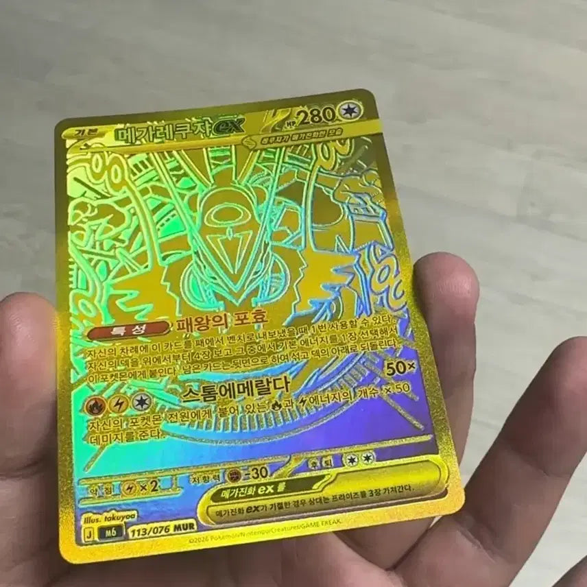 [BUNJANG] Mega Rayquaza Mur Card Holder / 메가레쿠쟈 MUR