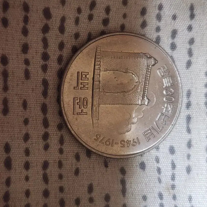 [BUNJANG] Bank of Korea 100 Won Coin / 한국은행 100원 동전