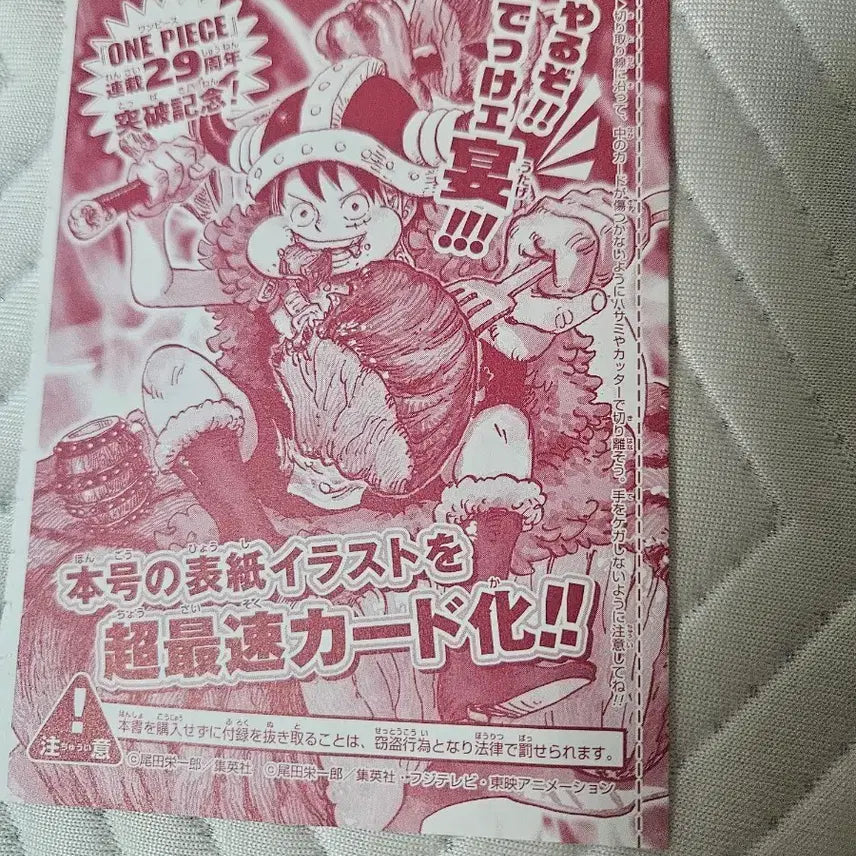 [BUNJANG] One Piece 29th Anniversary Meat Luffy Card / 원피스카드 고기루피