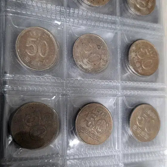 [BUNJANG] Korean Coins 50 Won, 100 Won (Inception Year - 2019) Complete Set with 2014 100 Won 23 pcs Bundle / 한국의 주화 50원, 100원 (초년도 ~2019년)줄세우기 및 2014년 100주 23점 포함 일괄