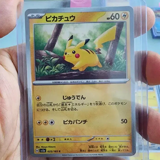 [BUNJANG] Pokemon Card Pikachu, Raichu, Mimikyu Bundle / 포켓몬카드 피카츄, 라이츄, 따라큐 등(가격제시)