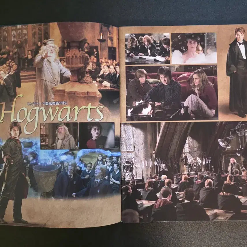 [BUNJANG] Harry Potter and the Goblet of Fire Japanese Paid Pamphlet (2005) / [영화팜플렛] 해리포터와 불의 잔 일본 유료팜플렛 (2005)