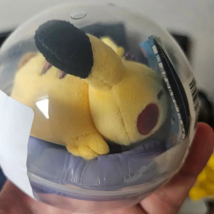 [BUNJANG] Pokemon Busan Pop-up Tube Mascot Collection Pikachyu Figure / 포켓몬스터 부산 팝업 튜브 마스코트 컬렉션 캡슐토이 피카츄 팝니다