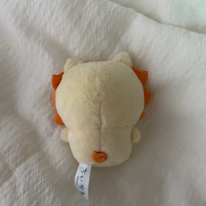 [BUNJANG] Chiikawa Sitting Plush / 치이카와 앉은 누이 시사