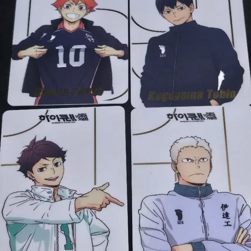 [BUNJANG] Haikyuu!! 10th Anniversary Exhibition Lucky Draw Photocard Bundle Set / 하이큐 럭키드로우 일괄