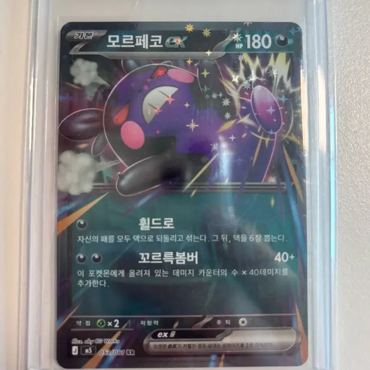 [BUNJANG] Pokemon Card Morpeko EX RR / 포켓몬카드 모르페코es rr