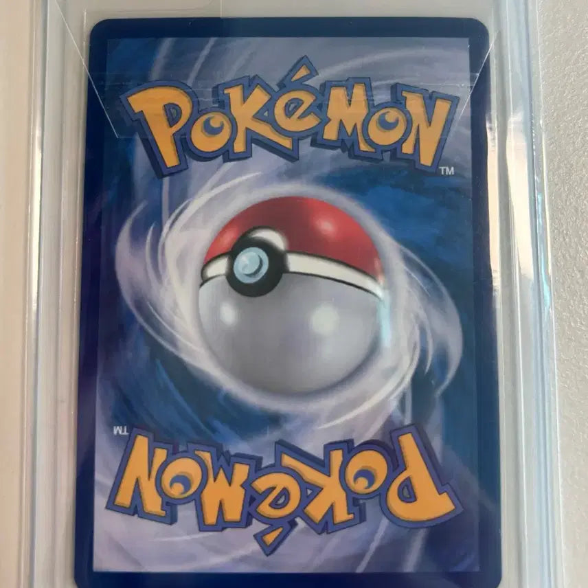[BUNJANG] Pokemon Card Morpeko EX RR / 포켓몬카드 모르페코es rr