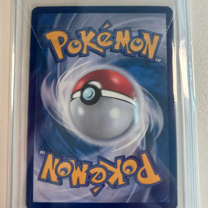 [BUNJANG] Pokemon Card Morpeko EX RR / 포켓몬카드 모르페코es rr