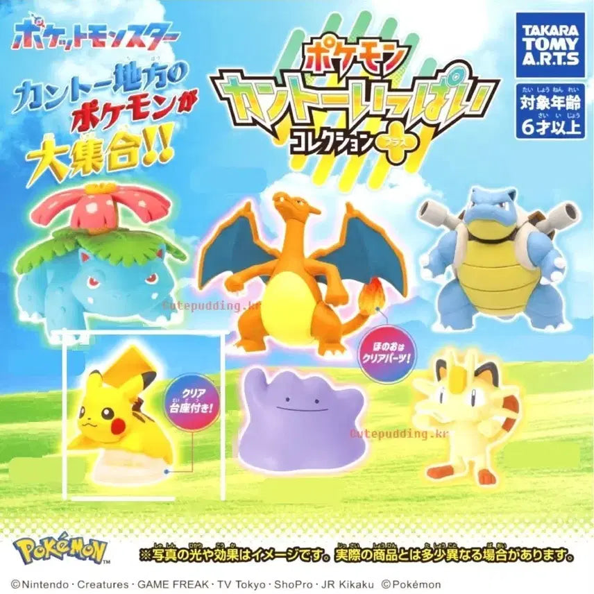 [BUNJANG] Pokemon Kanto Collection Figure Pikachu / 포켓몬스터 칸토 컬렉션 피규어 _ 피카츄