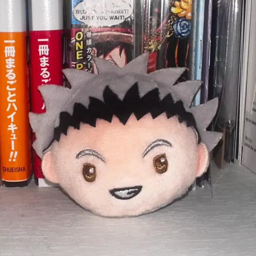 [BUNJANG] Haikyuu!! Bokuto Koutarou Hair Clip Gacha / 하이큐 보쿠토 헤어클립 머리핀 가챠