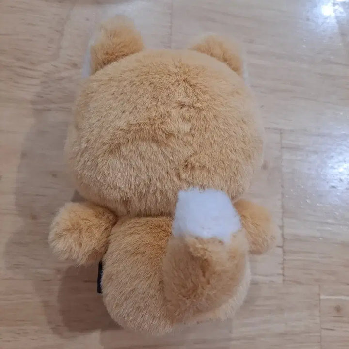 [BUNJANG] Day6 Petit Merz Finger Puppet / 데이식스 쁘띠멀즈 핑거 퍼펫 케 쁘멀 데멀
