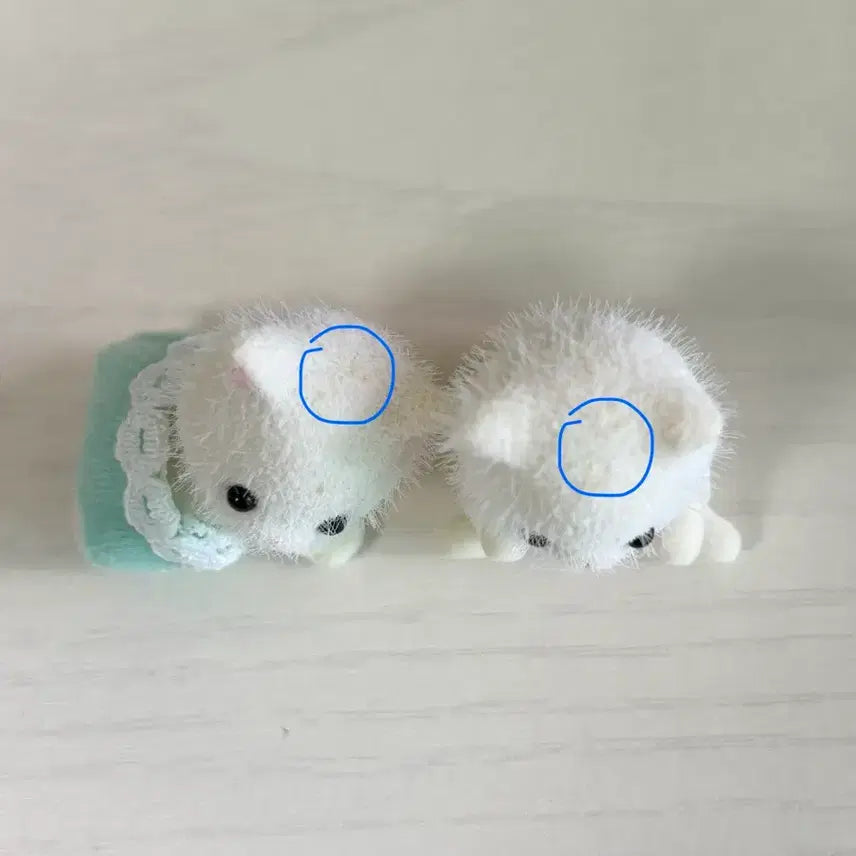 [BUNJANG] Sylvanian Families Persian Twins / 실바니안 페르시안 쌍둥이