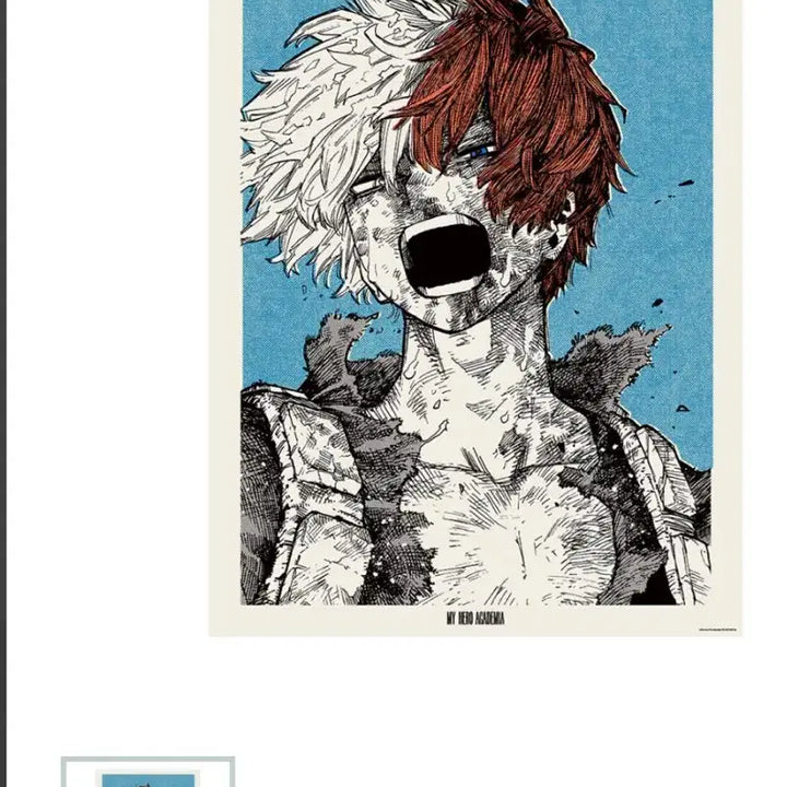[BUNJANG] My Hero Academia Shonen Jump Shop Todoroki Poster / 나의히어로아카데미아 진보초 점프샵 토도로키 포스터 미개볼