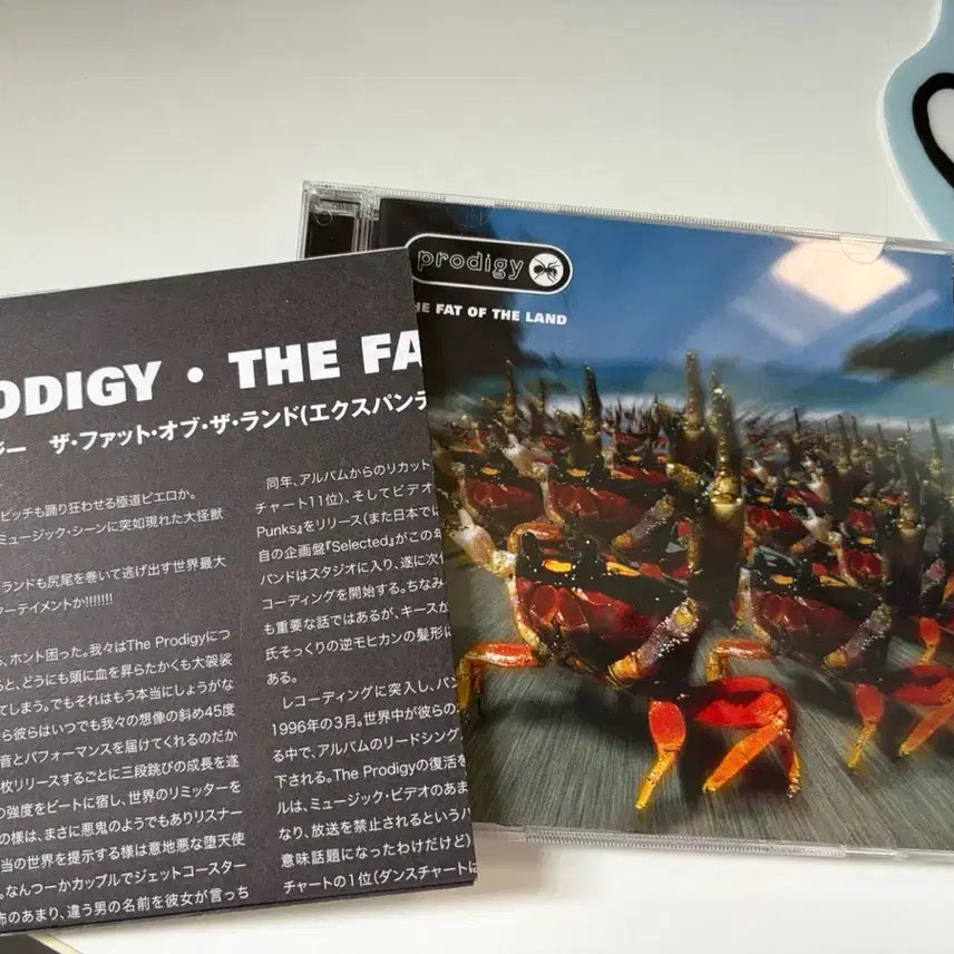 [BUNJANG] The Prodigy The Fat of The Land Expanded Edition 2CD / 프로디지 (prodigy) The Fat of The Land - expanded에디션 팝니다