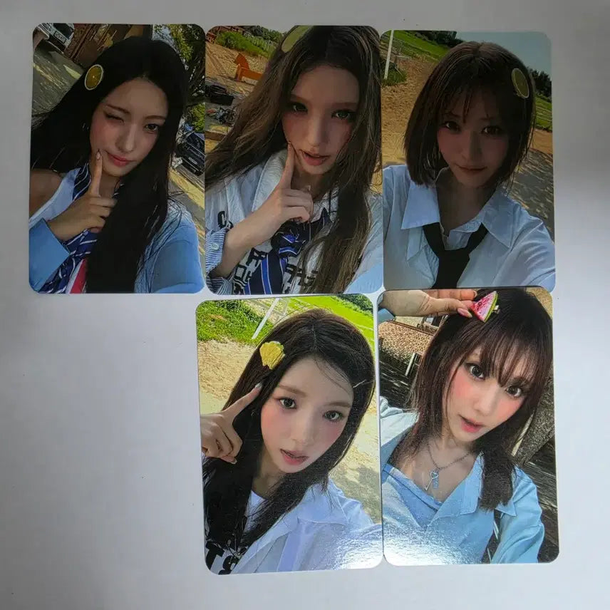 [BUNJANG] Oddyuse Mipan Photocard Bundle Set / 오드유스 미팬 포토카드 5장 일괄 판매