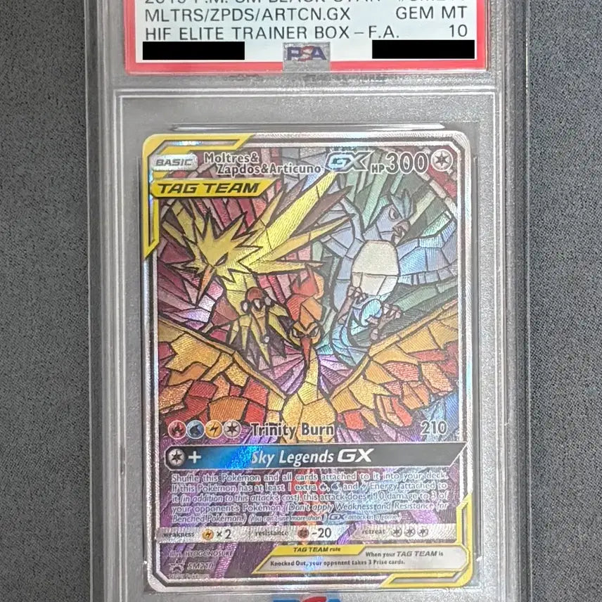 [BUNJANG] Pokemon Card North American Edition Zapdos, Moltres, Articuno Tag Team Special First Edition PSA 10 / 포켓몬카드 북미판 삼새 태그팀 특일 PSA 10