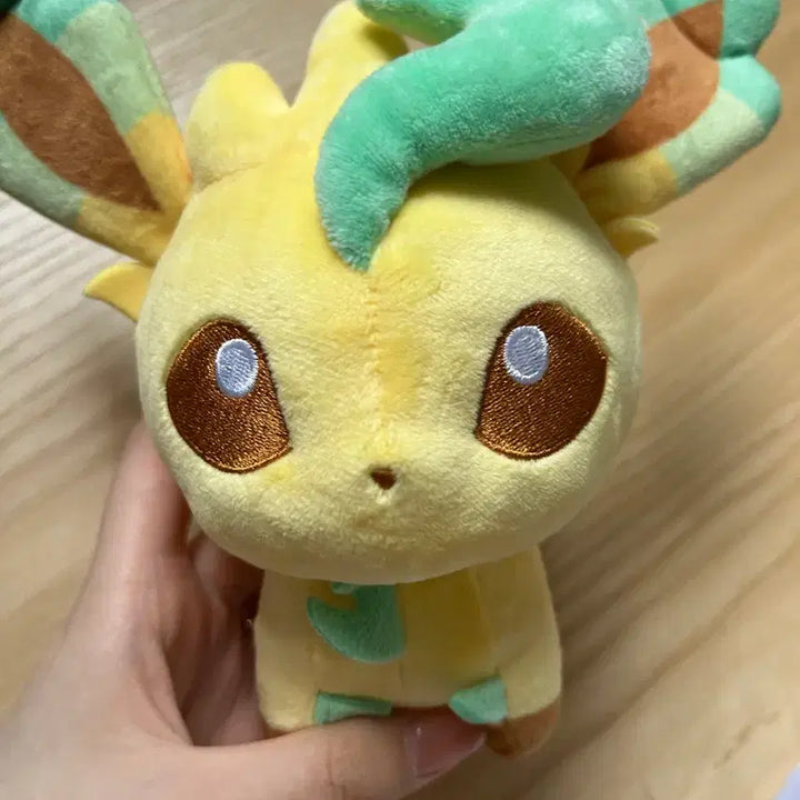 [BUNJANG] Pokemon Leafeon Medium Plush / 포켓몬 리피아 돌즈 중형 판매