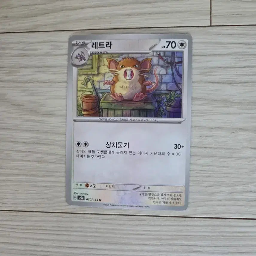 [BUNJANG] Pokemon Card Letra / 포켓몬 카드 레트라